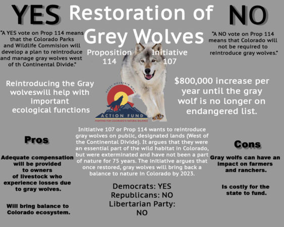 The Bold Infographic on Restoration of Grey Wolves, Colorado Initiative #107