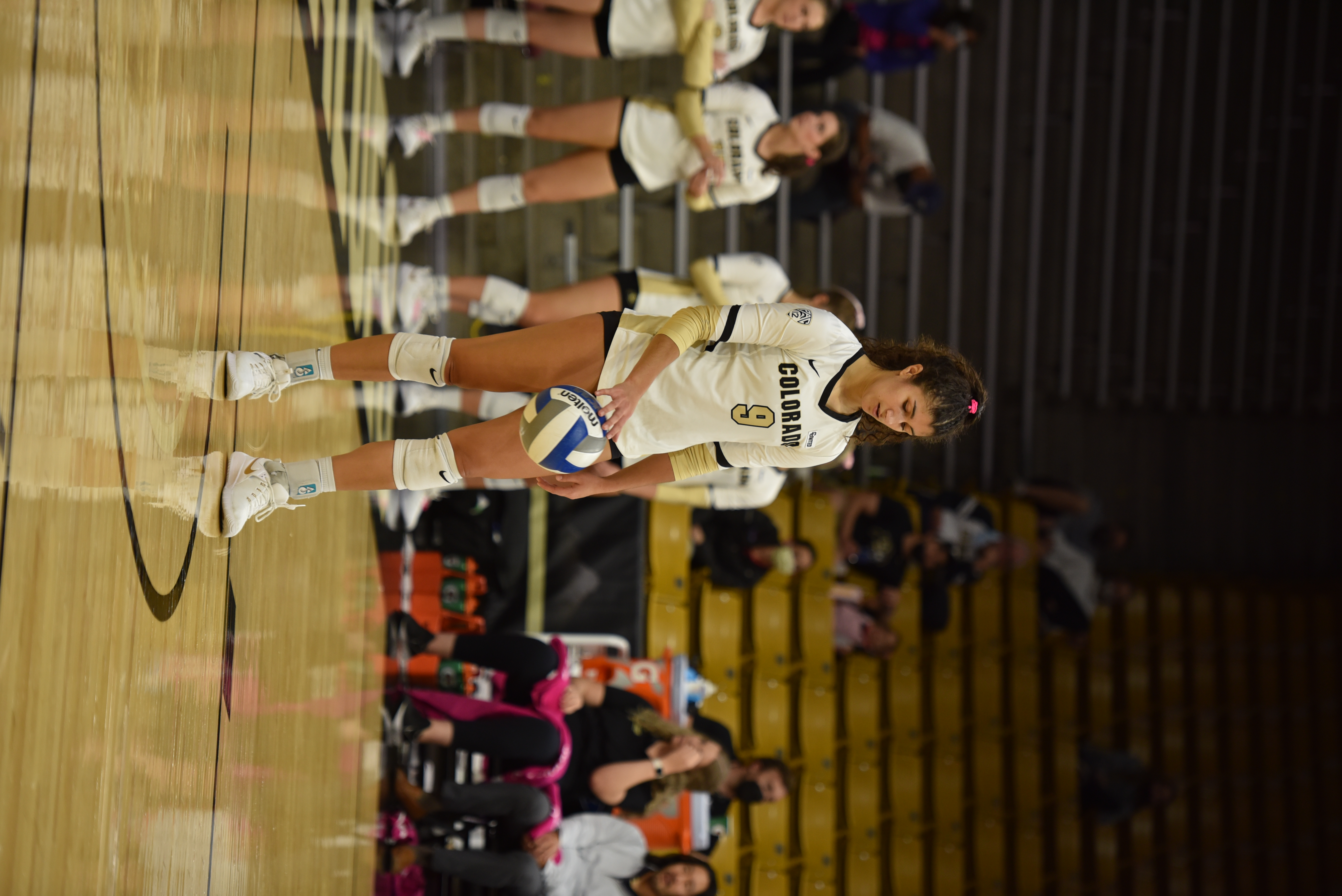 the bold cu volleyball