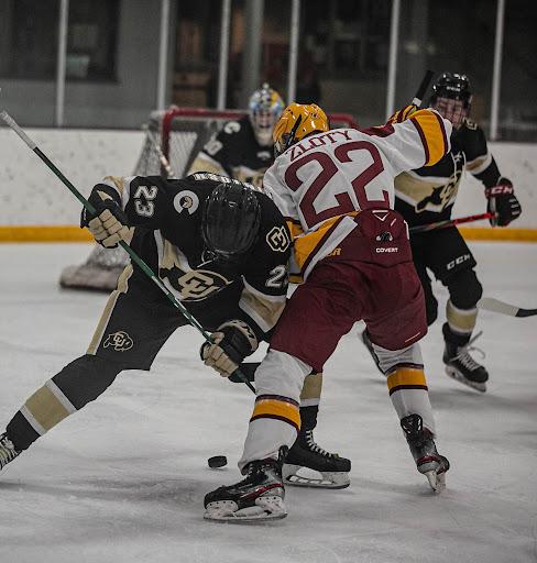 the bold cu hockey