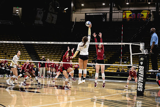 Jahara Campbell CU Volleyball; The Bold CU