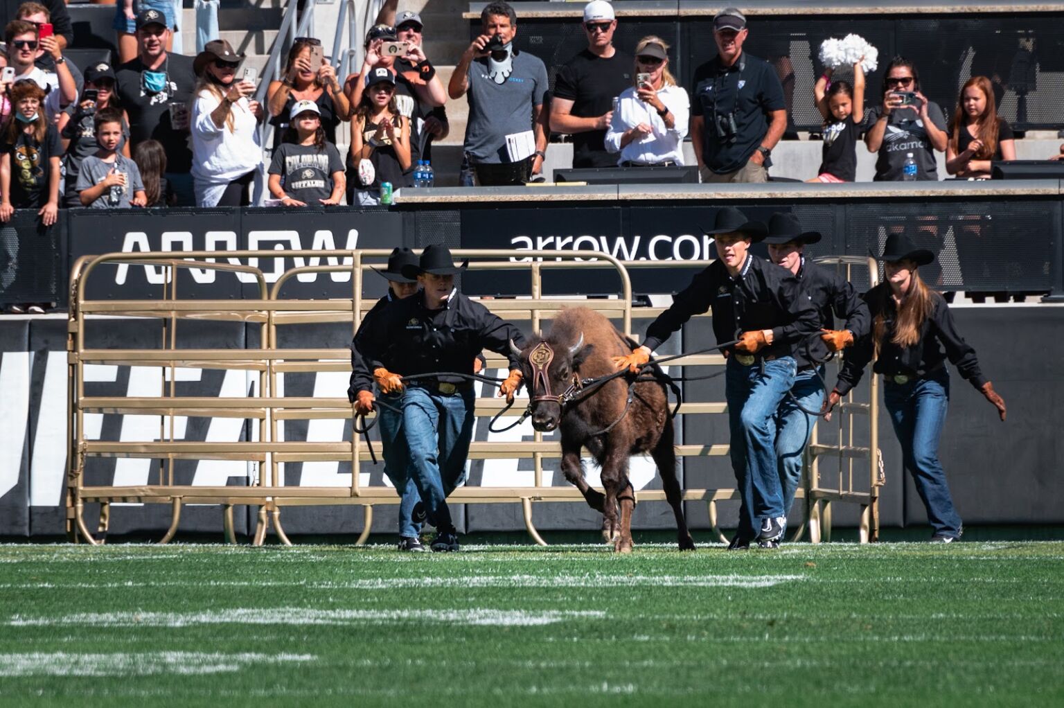 2023 2024 Pac 12 Overview Who Challenges New Look Buffs The Bold CU   Pac12 1536x1022 