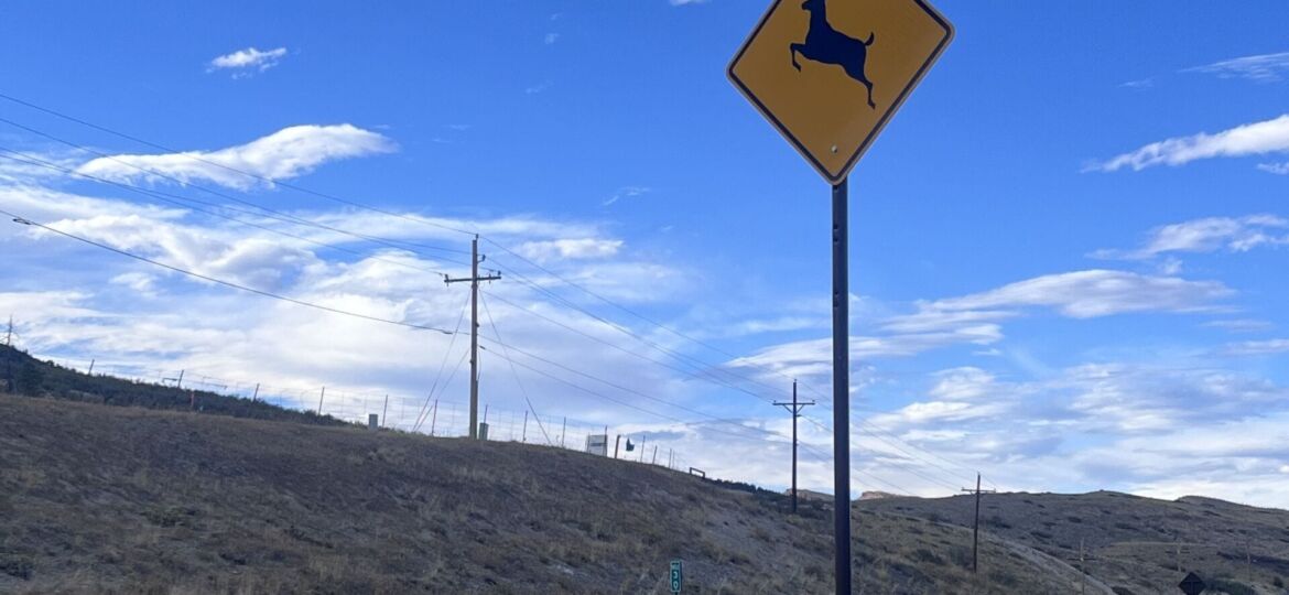 Animal crossing sign on U.S. 36 near Boulder