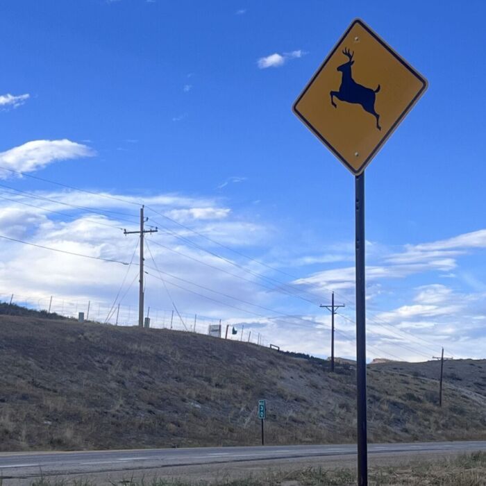 Animal crossing sign on U.S. 36 near Boulder