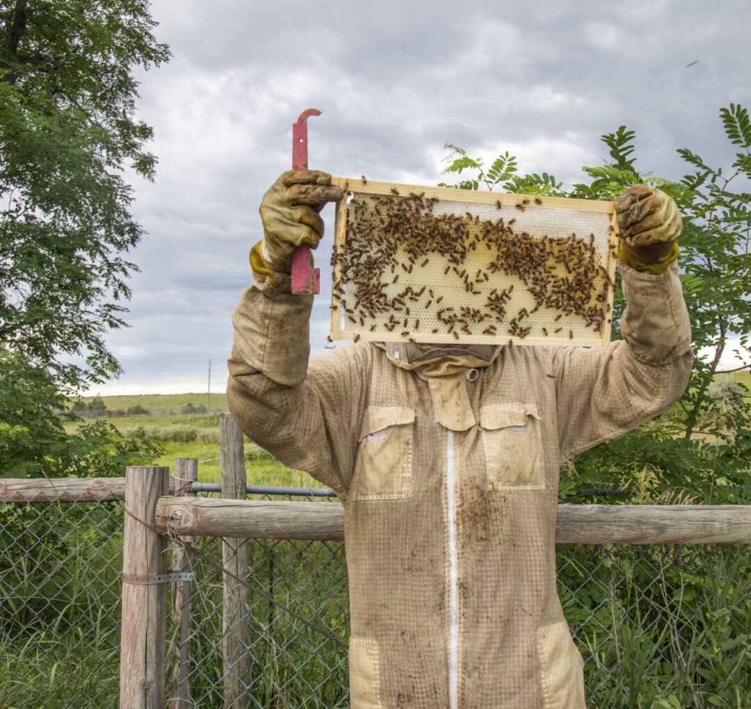 A beekeeper inspects a hive frame on July. 19, 2023. (Photo courtesy of Justin Hein)