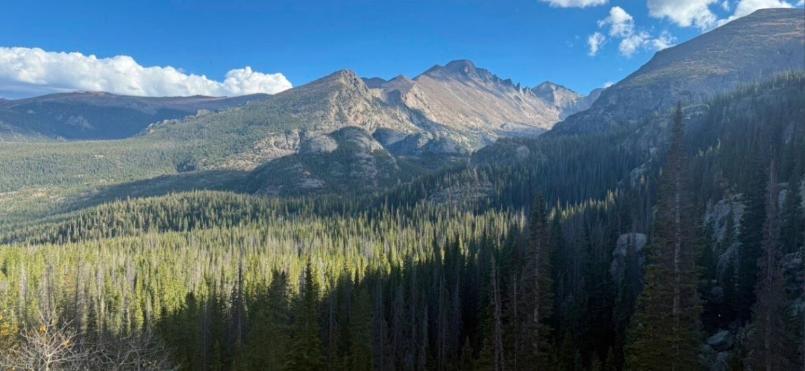 RMNP