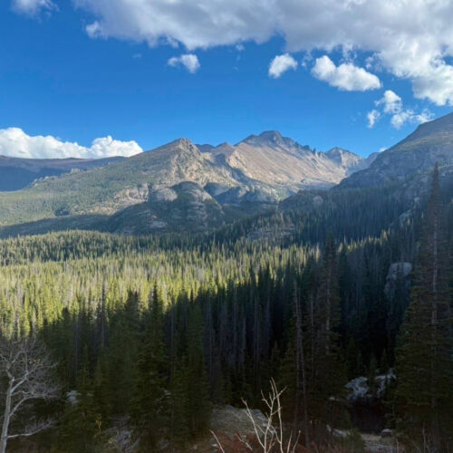 RMNP