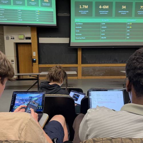 students distracted during class