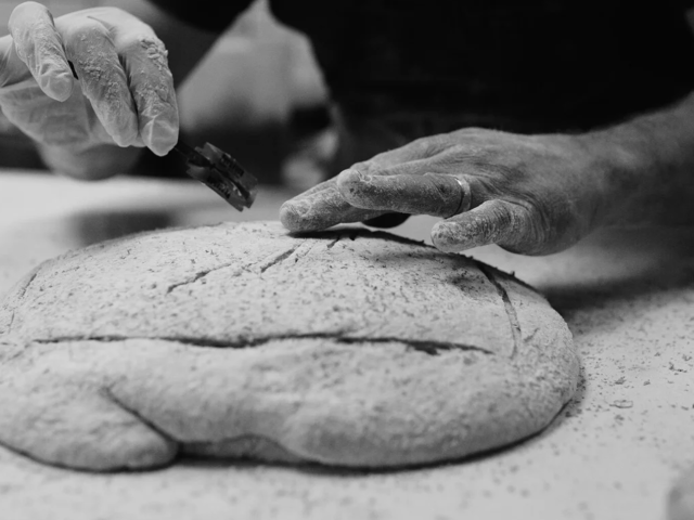 Moxie Bread Co. dough shaping